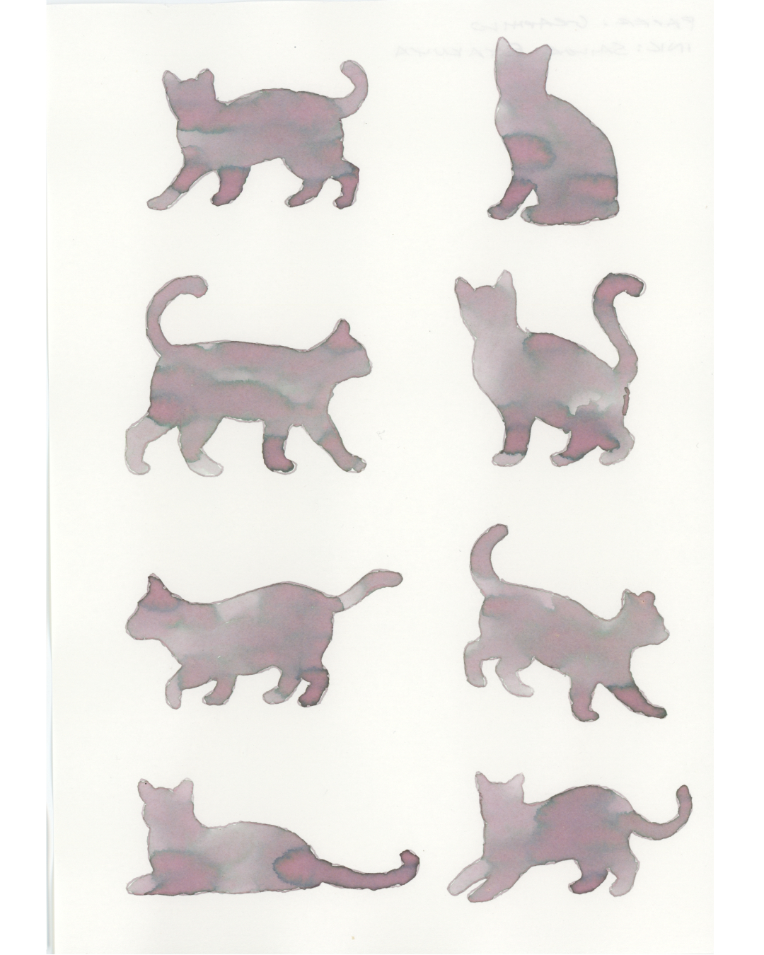 Swatch Cats